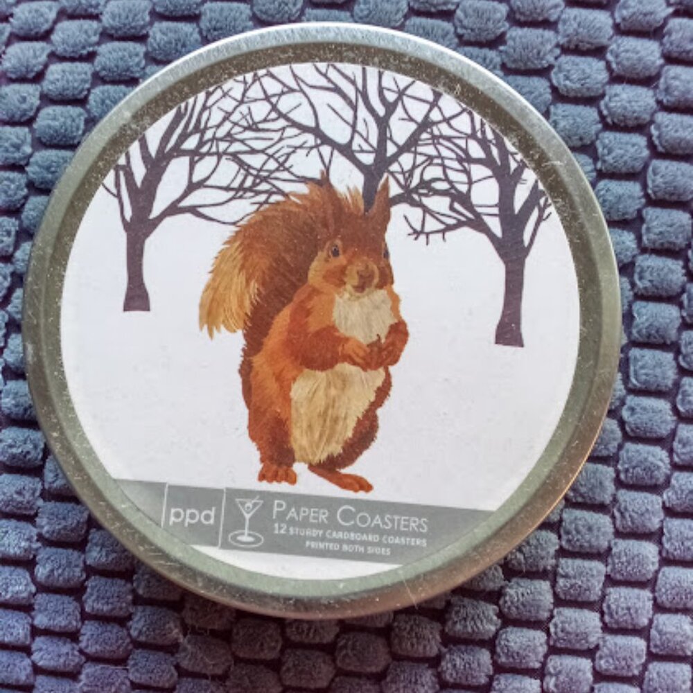 Paper Coasters with a Squirrel on Front and Back